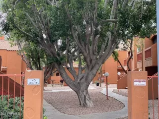 Photo #1: 6305698 Listing 