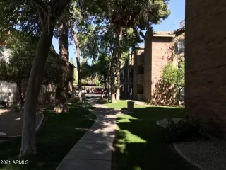 Photo #1: 6305782 Listing