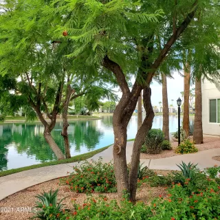 Photo #6: 6311865 Listing