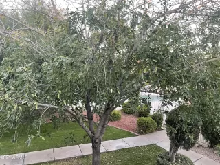 Photo #3: 6321315 Listing 