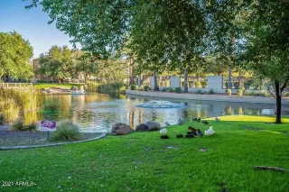 Photo #4: 6321699 Listing