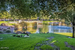 Photo #5: 6321699 Listing