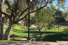 Photo #1: 6323510 Listing 