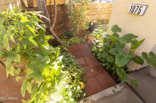 Photo #2: 6335162 Listing 