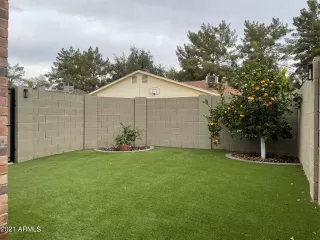 Photo #1: 6335666 Listing