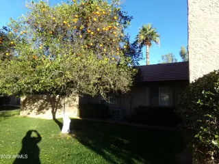 Photo #1: 6352272 Listing 