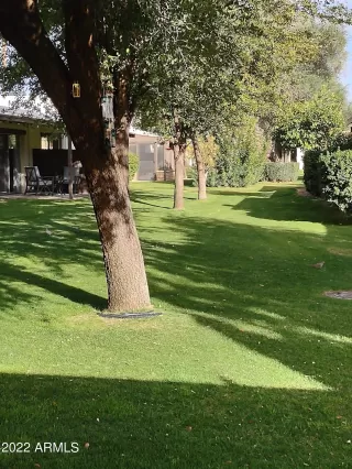 Photo #1: 6355585 Listing 