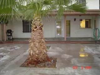 Photo #1: 6364100 Listing