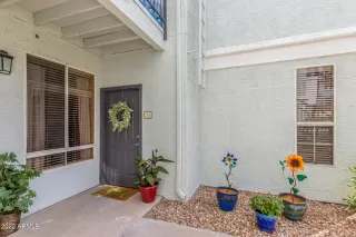 Photo #1: 6367155 Listing