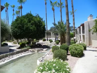 Photo #2: 6367841 Listing