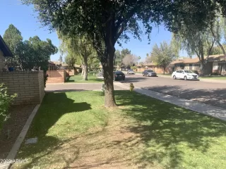 Photo #2: 6369424 Listing