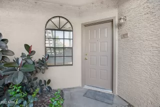 Photo #1: 6375319 Listing 