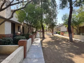 Photo #1: 6378705 Listing