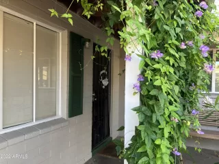 Photo #2: 6380721 Listing