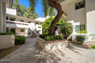 Photo #4: 6382131 Listing