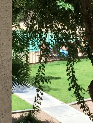 Photo #1: 6385581 Listing