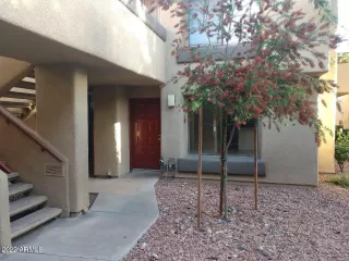 Photo #1: 6386128 Listing