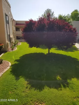 Photo #3: 6389208 Listing