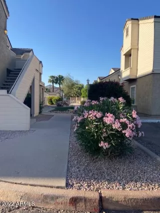 Photo #4: 6390437 Listing