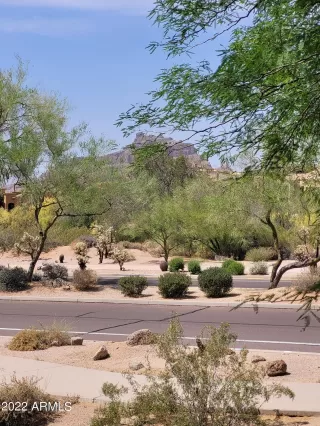 Photo #1: 6393331 Listing