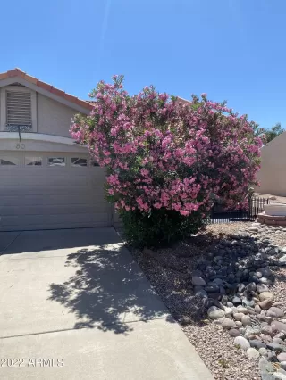 Photo #1: 6393703 Listing