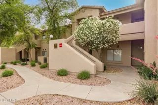 Photo #1: 6393941 Listing