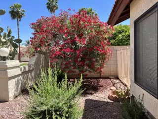 Photo #4: 6395419 Listing