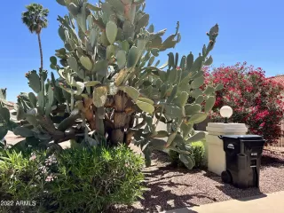 Photo #5: 6395419 Listing