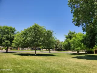 Photo #2: 6398999 Listing