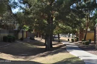 Photo #1: 6399512 Listing