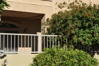 Photo #2: 6399512 Listing