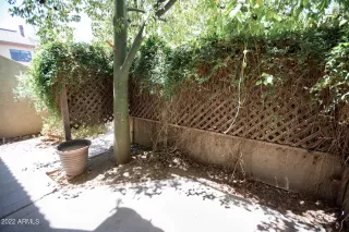 Photo #1: 6410694 Listing