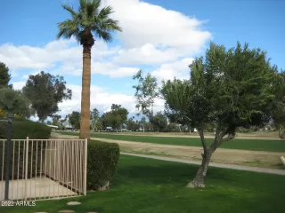 Photo #1: 6420502 Listing 