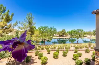 Photo #1: 6423651 Listing 