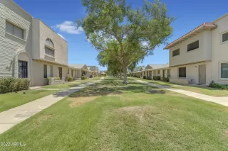 Photo #1: 6426416 Listing
