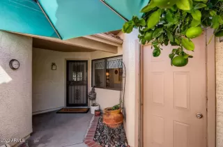 Photo #5: 6428268 Listing