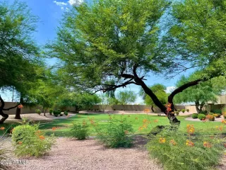 Photo #1: 6430969 Listing