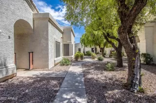 Photo #3: 6452176 Listing 