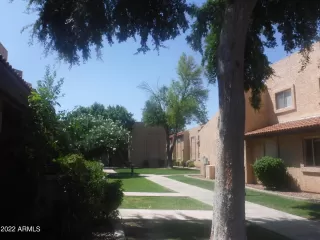 Photo #1: 6453780 Listing