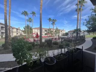 Photo #1: 6467051 Listing