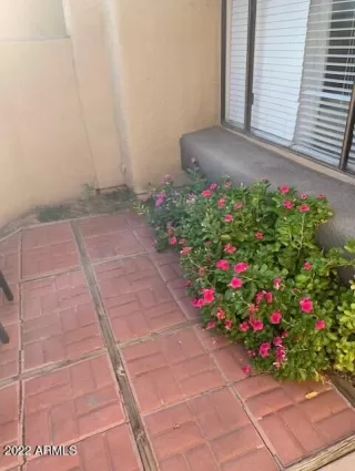 Photo #1: 6468219 Listing