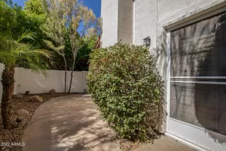 Photo #4: 6471965 Listing 