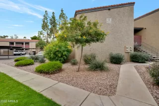 Photo #2: 6478425 Listing
