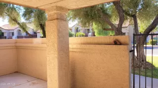 Photo #4: 6483544 Listing 