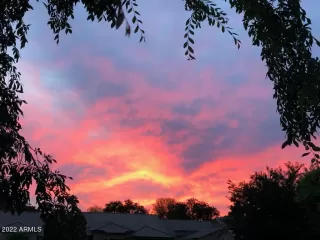 Photo #1: 6486052 Listing 