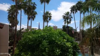 Photo #2: 6508613 Listing 