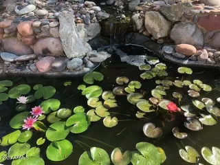 Photo #2: 6522085 Listing