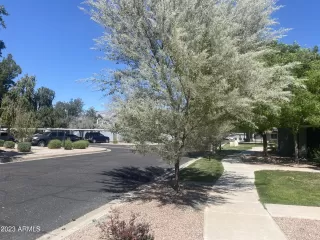 Photo #2: 6537562 Listing