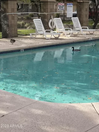 Photo #4: 6539061 Listing