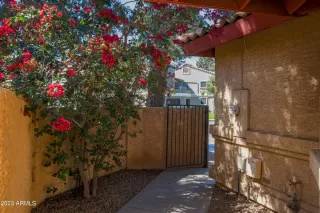 Photo #2: 6540595 Listing 